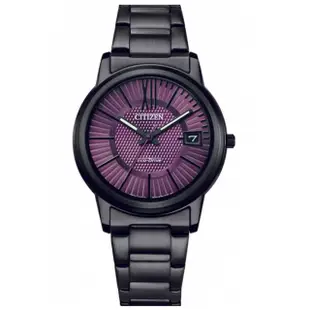 【CITIZEN 星辰】PAIR系列光動能荒野世紀黑鋼帶腕錶情侶錶-女款33mm(FE6017-85E/FE6017-85X)