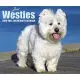 Just Westies 2020 Calendar