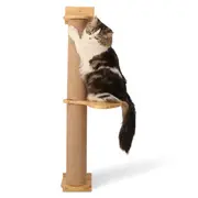 Paws For Life Two Tier Cat Scratching Post With Platform