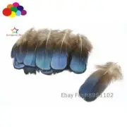 10-100 PCS Natural Blue Pheasant Tail Feathers 2-4 inch/ 5-10cm Carnival costume