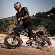 1000W Electric Bike All terrain 48V 20Ah Mountain Bike e-MTB 20" Off-Road E-Bike