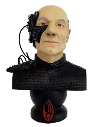 Star Trek N.G. Locutus of Borg Bust 1497/5000 W/ COA 1996 + FREE Bobblehead !!!