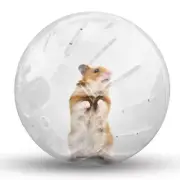 Dwarf Hamster Ball 4.92inch Crystal Running Ball for Hamsters Run-About Exerc...