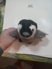 NEW PLUSH SOFT TOY Wild Republic 16258 Hug Ems Hug'ems Emperor Penguin Chick 20