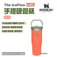 在飛比找Yahoo奇摩購物中心優惠-STANLEY The IceFlow手提吸管杯 0.88L