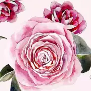 Ceramic Tile Mural Backsplash Mysak Camelias Flowers Floral Strip LM2-006