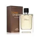 Hermes Terre Dhermes M Edt 100Ml Spray
