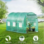 Walk in Greenhouse 3x2x2m Green House Tunnel Garden Shed Plant Storage