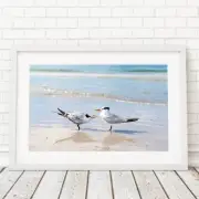 Birds on the Beach Photo, Siesta Key Photography Wall Art Beach House, Wildlife