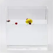 Acrylic Props Shooting Tray, Acrylic Photography Display Box Storage Tank Transparent Multiple Sizes(100x60x5cm/39.4x23.6x2in)