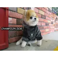 在飛比找蝦皮購物優惠-CHAMPION DOG 潮牌帥氣金絲絨秋冬帽T 灰紅藍三色