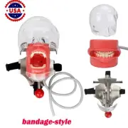 US Ship Dental Simple Head Model simulator Teeth model dental simulation unit.
