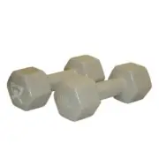 Fabrication Enterprises 10-0560-2 15 lbs Vinyl Coated Dumbbell - Silver