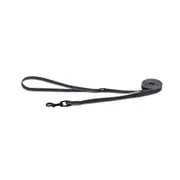 Rogz Amphibian Dog Classic Lead - Large / Blue