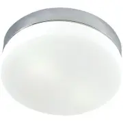 ELK Lighting FML1025-10-16M Disc Flush Mount Silver with White