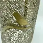 NEW Scentsy Chickadee Warmer Wrap silhouette wrap metal Bird Decor