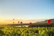 Hunter Valley Hot Air Balloon Flight - Cessnock