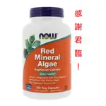 素食鈣 海藻鈣 RED MINERAL ALGAE 250MG 180顆 紅藻鈣 鎂 D《NOW FOODS》美國健而婷