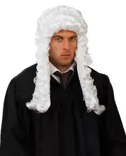 Men`s Powdered White Colonial Wig for Adult Judge Law Court Barrister Costume
