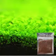 Easy-to-Grow Aquarium Ornament Plant Seeds - 50% Off - Fish Tank Landscape Decoration Small Leaf