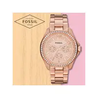 在飛比找PChome商店街優惠-FOSSIL 手錶 專賣店 AM4483 女錶 石英錶 不鏽