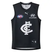 Men's AFL Carlton Blues Football Club 2024 Home Replica Jersey