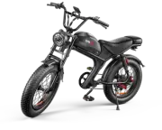 20" 1000W 48V 20Ah Electric Bike All terrain Mountain Bike e-MTB Off-Road E-Bike