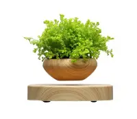 在飛比找Yahoo!奇摩拍賣優惠-招財 磁浮盆栽 磁懸浮盆栽植物 創意家居 擺飾