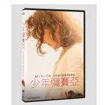 全新影片《少年彌賽亞》DVD 耶穌基督童年歷險感動呈獻 萬世流芳聖經故事 新角度感受信仰