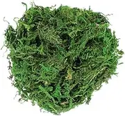 LALAFINA Micro Landscape Vivid Dried 3 Bags of Prop for DIY Home Decor Projects