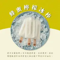 在飛比找COCORO Life優惠-【春一枝】蜂蜜檸檬綜合天然水果手作冰棒x12入