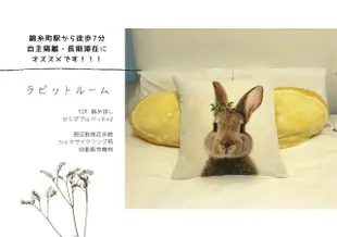 金石町兔子房Rabbit Room Kinshi-Cho