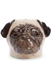 Quail Ceramics Face Egg Cup Pug Fawn