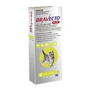 Bravecto Plus all-in-one for Small Cats 1.2- 2.8kg 1Pack