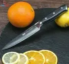 Utility Knife 67 Layers Damascus Steel Full Tang G10 Handle Paring Fruit Slicing
