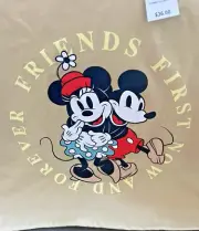 NWT Freeze Disney Mickey & Minnie Friends First Sweatshirt Jr Skimmer Pullover L