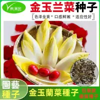 在飛比找蝦皮購物優惠-【青满园】金玉蘭菜種子100粒49 春夏秋冬四季耐熱 包裝種