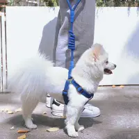 在飛比找松果購物優惠-狗狗牽引繩貓咪繩子遛狗小型犬防掙脫背心式狗鏈外出牽狗繩胸背帶