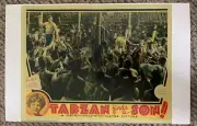 Tarzan finds the sun metro Goldwyn Mayer Poster 11 x 17 (228)