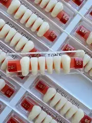 Acrylic Resin False Teeth Accu-tone Anterior lower A2/66-267 dentures box 120pcs