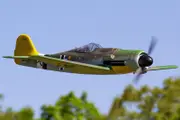 FlightLine Fw 190 D-9 Dora 850mm (33") Wingspan PNP EPO RC Plane Airplane RC Model