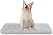 Crate Mat Kennel Pad for Dog Cages Sleeping Floor Pad 35x22 inch