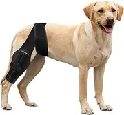 AiMaKoDo Dog ACL Brace Hind Leg, Dog Knee Brace for Front Torn and Back Hind Rear Leg ACL Tear,Hip Dysplasia, Dog Arthritis and Luxating Patella, Adjustable and Comfortable (Medium)