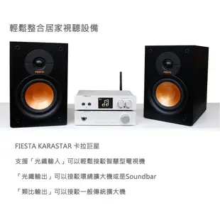Fiesta Karastar 數位混音機 YouTube消人聲 卡拉巨星 數位混音音訊處理器 KTV 卡拉OK  消音