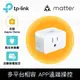 TP-Link Tapo P125M 迷你型 藍牙 Wi-Fi 無線網路Matter 智慧智能插座 開關