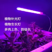 在飛比找樂天市場購物網優惠-植物生長燈 多肉補光燈 上色植物 補光燈 植物生長燈 幼芽萌