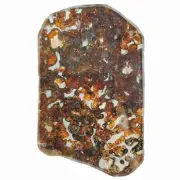 67.4g SERICHO pallasite Meteorite slice - from Kenya TA143