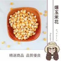 在飛比找樂天市場購物網優惠-【日生元】爆米花 非基改 玉米粒 一斤40元 乾玉米 爆米花
