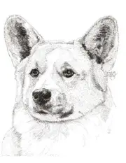 Welsh Corgi Pembroke Print Too