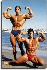 Arnold Posters Schwarzenegger and Franco Columbu Pose at Venice Beach Poster Dec